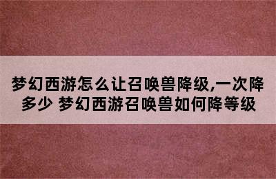 梦幻西游怎么让召唤兽降级,一次降多少 梦幻西游召唤兽如何降等级